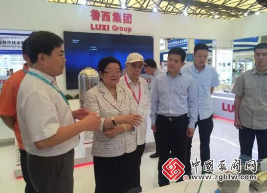 顾秀莲副委员长参观中国国际石油化工技术装备展览会