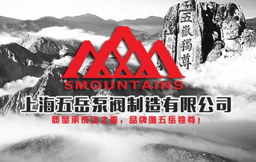 上海五岳安全阀开展内训 强化质量与服务意识 上海五岳安全阀开展内训 强化质量与服务意识