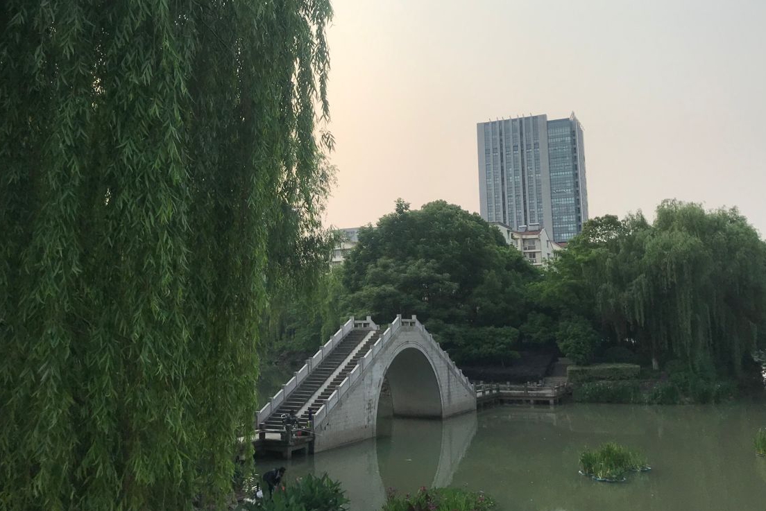 柳絮纷飞有多烦 科学仪器帮你忙 柳絮纷飞有多烦 科学仪器帮你忙