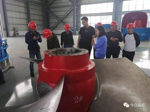 瓜洲泵站投入使用,专家点赞高邮这家公司 瓜洲泵站投入使用,专家点赞高邮这家公司