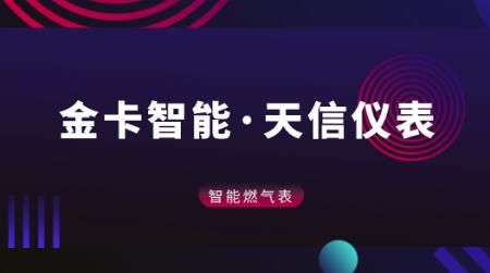 金卡智能燃气表智能化持续推进 天信仪表增长承压