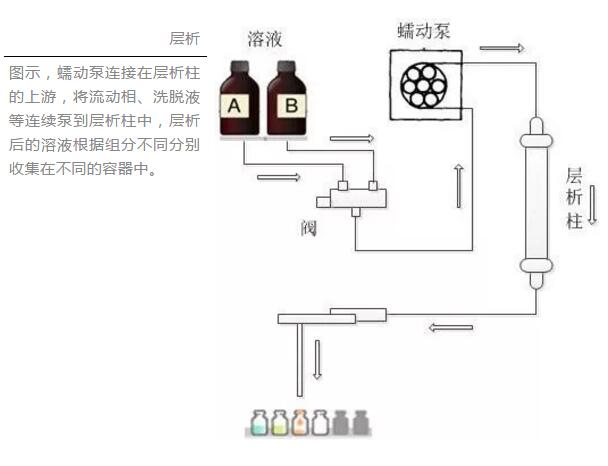 層析| 蘭格蠕動泵為您提供更可靠的流體輸送選擇