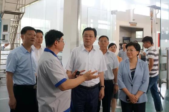 江蘇省委常委、統戰部部長楊岳一行 蒞臨振華泵業進行考察調研指導工作
