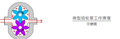 蘭格微型齒輪泵｜適合用于實驗室或生產過程中高壓力下精準傳輸液體