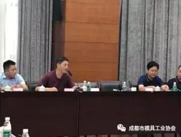 成都市模协杨华军秘书长发言 成都市模协杨华军秘书长发言