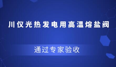 重庆川仪光热发电用高温熔盐阀研制项目通过验收