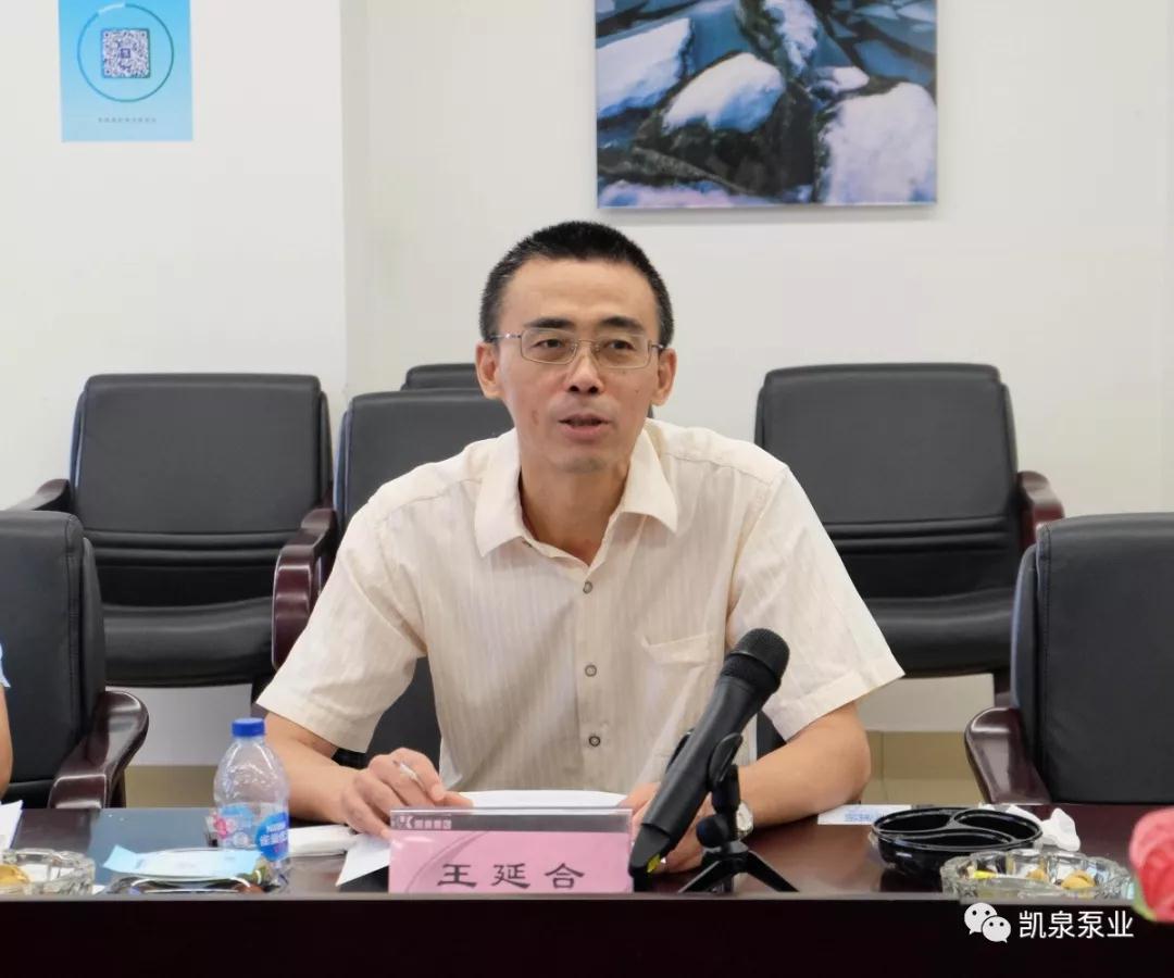 集团总工程师王延合评审发言 集团总工程师王延合评审发言