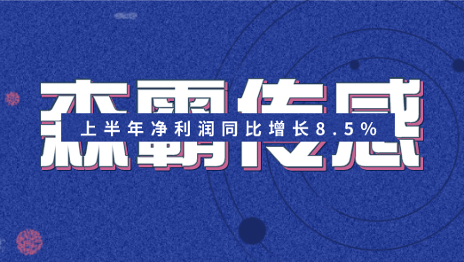 森霸传感2019年上半年净利润同比增长8.5% 森霸传感2019年上半年净利润同比增长8.5%