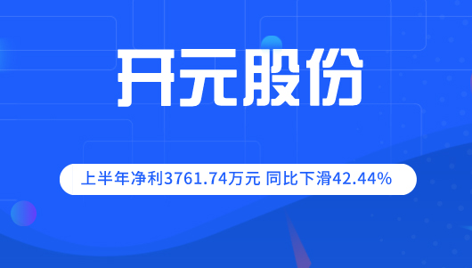 开元股份2019年上半年净利润3762万元