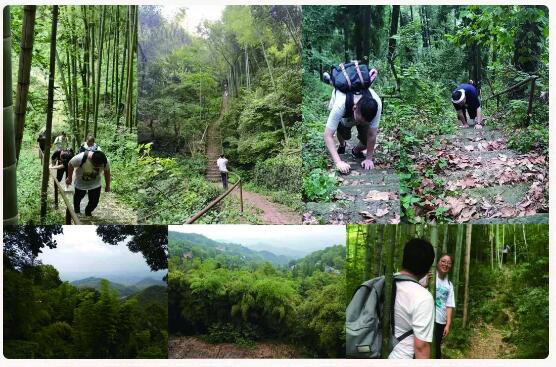 南方泵业一工厂莫干山团建活动 南方泵业一工厂莫干山团建活动