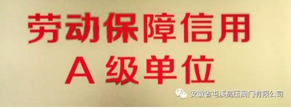 屯溪高压阀门：荣获“2019年劳动保障书面审查A级单位”