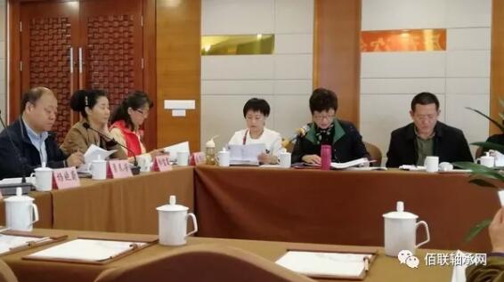 与会委员认真审查轴承标准 与会委员认真审查轴承标准