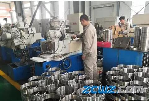 “轴承之乡”临西 发展特色高质量产品 轴承占据全国10% “轴承之乡”临西 发展特色高质量产品 轴承占据全国10%