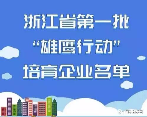 人本集团入选浙江省第一批“雄鹰行动”培育企业名单