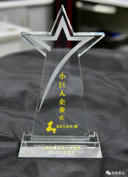 上海凯泉泵业再次荣膺嘉定区“小巨人企业“称号 上海凯泉泵业再次荣膺嘉定区“小巨人企业“称号