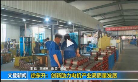 徐东升:创新助力电机产业高质量发展 徐东升:创新助力电机产业高质量发展