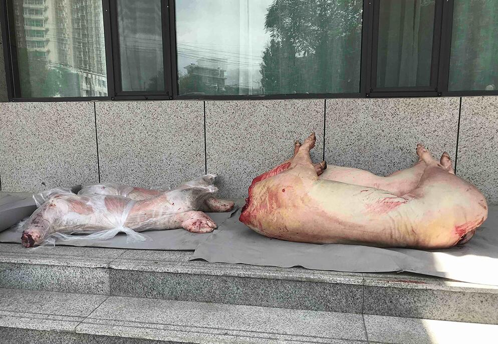 兰高阀门领导赴西固区应急救援大队进行慰问 兰高阀门领导赴西固区应急救援大队进行慰问