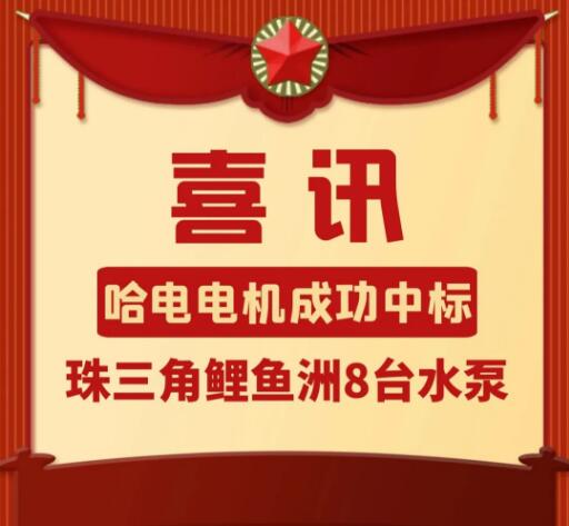 哈電電機中標珠三角鯉魚洲8臺大型水泵