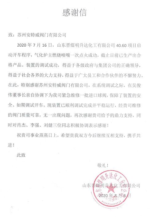 安特威助力40.60項目氣化爐主燃燒噴嘴一次點火成功!