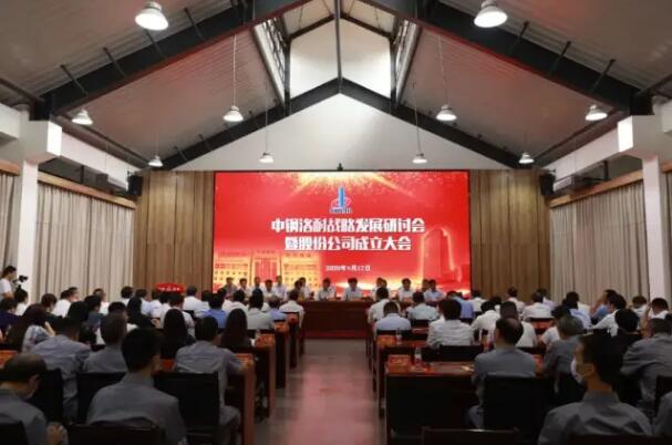 建龍集團參與中鋼洛耐混改