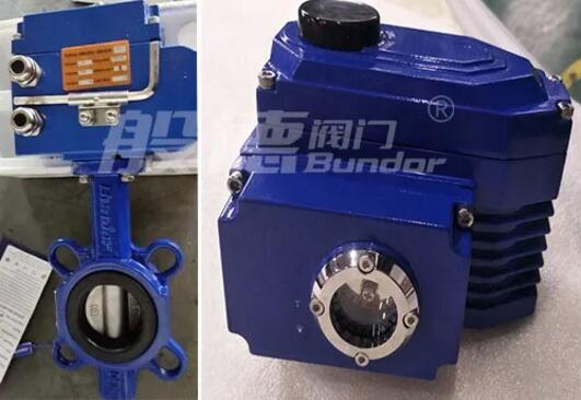 亞洲某公司采購般德灰鑄鐵電動對夾蝶閥產品