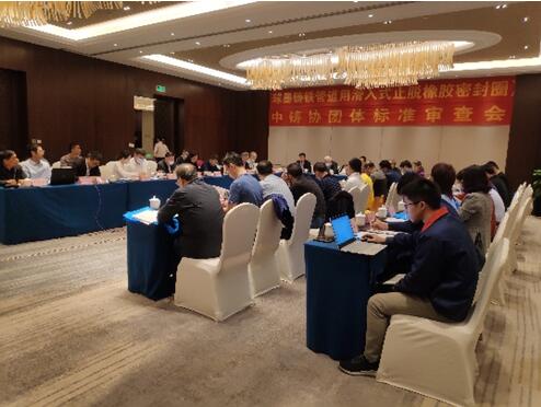 《球墨铸铁管柔性接口用止脱橡胶密封圈》团体标准通过专家审查