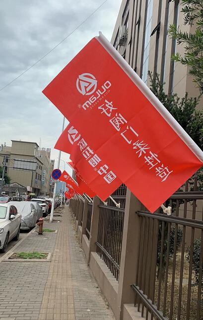欧拉姆阀门科技有限公司门口彩旗飘扬 欧拉姆阀门科技有限公司门口彩旗飘扬