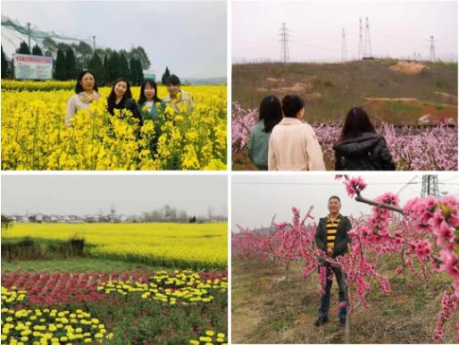 捷耐特阀门：赏花海美景，品蜀汉文化