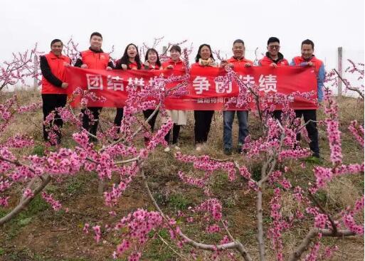 捷耐特閥門：賞花海美景，品蜀漢文化