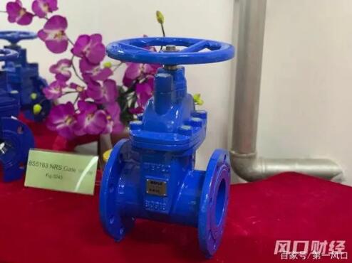 青島偉隆股份：1300個(gè)產(chǎn)品獲國內(nèi)外產(chǎn)品質(zhì)量認(rèn)證，打磨更智慧閥門