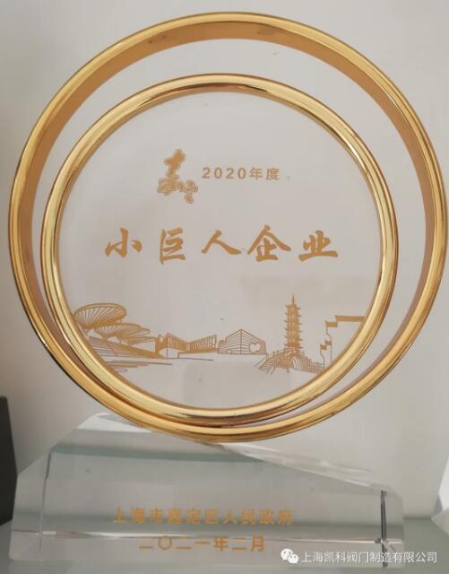 凱科閥門入選2020年度嘉定區(qū)小巨人計劃獎勵企業(yè)名單