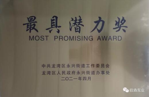 歐森泵業(yè)喜獲“最具潛力獎、誠信經(jīng)營獎”、總經(jīng)理馮淑芝榮獲“優(yōu)秀企業(yè)家”榮譽稱號