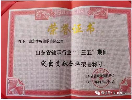 博特轴承荣获“优秀组织单位”、“科技创新发展企业”、“突出贡献企业” 博特轴承荣获“优秀组织单位”、“科技创新发展企业”、“突出贡献企业”