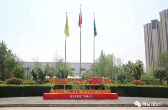 西安泵阀总厂有限公司党委扎实开展党史学习教育