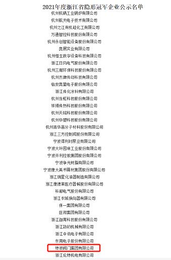 特技閥門集團(tuán)榮獲“浙江省隱形冠軍企業(yè)”榮譽(yù)稱號