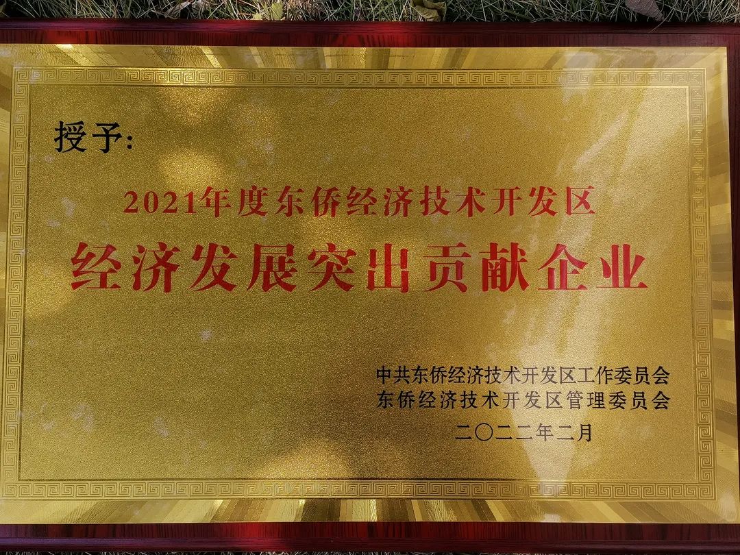 安波電機榮獲東僑“經濟突出貢獻獎”