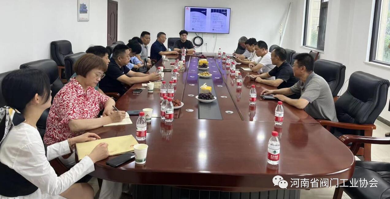 开阀公司座谈会现场