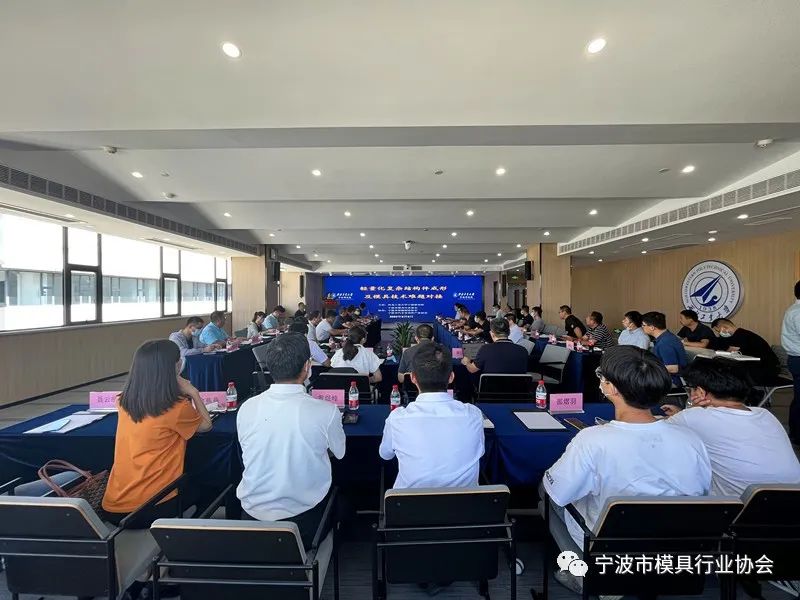 宁波市模具行业协会成功举办轻量化复杂结构件成形及模具技术难题对接 宁波市模具行业协会成功举办轻量化复杂结构件成形及模具技术难题对接