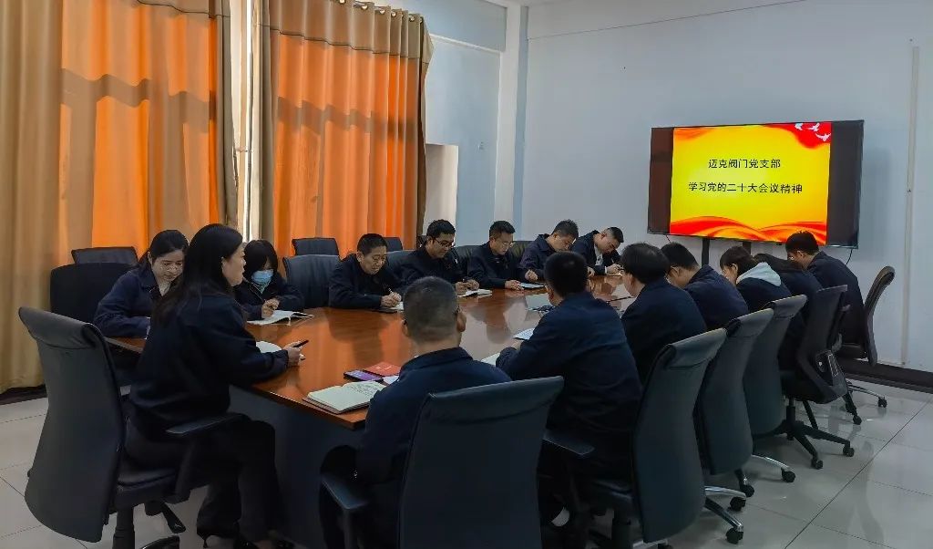 迈克阀门召开“加强党建引领 聚力业务提升”主题会议 迈克阀门召开“加强党建引领 聚力业务提升”主题会议