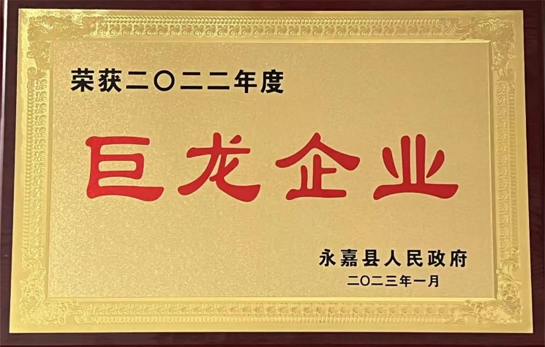 攻坚克难，勇毅前行！纽顿再获评永嘉县巨龙企业