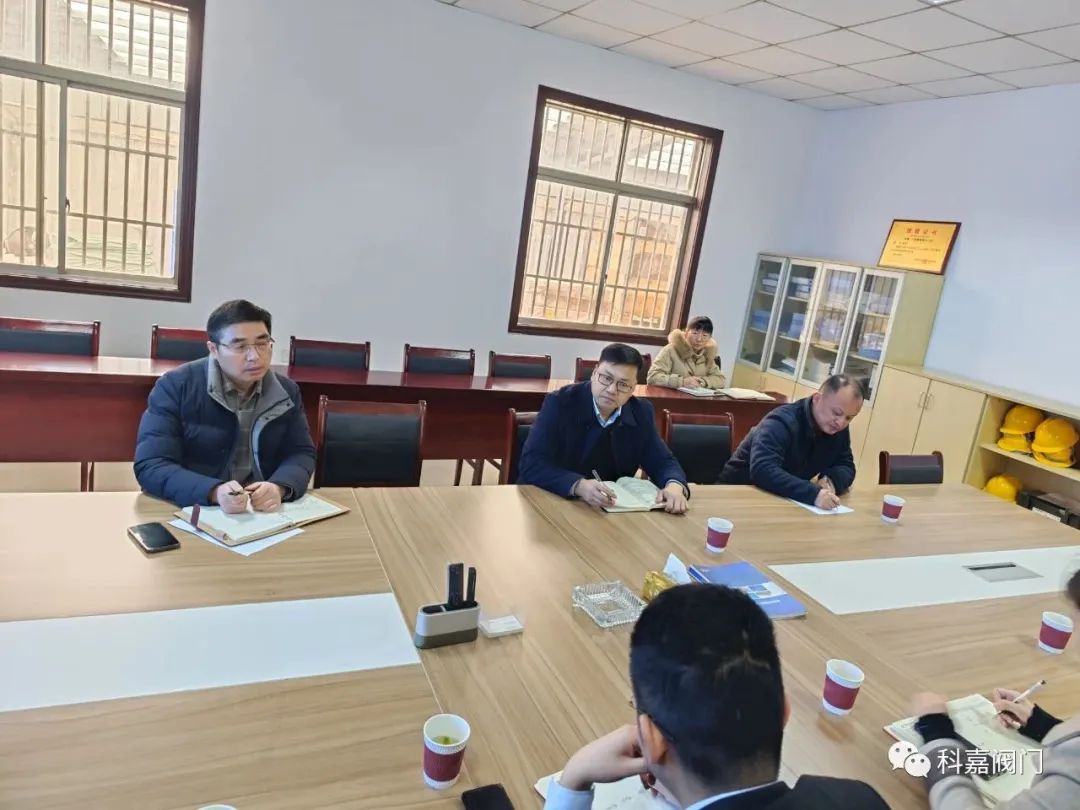 常务副县长杨飞来科嘉阀门公司现场办公