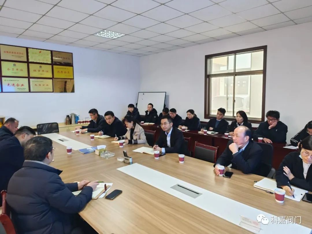 常务副县长杨飞来科嘉阀门公司现场办公