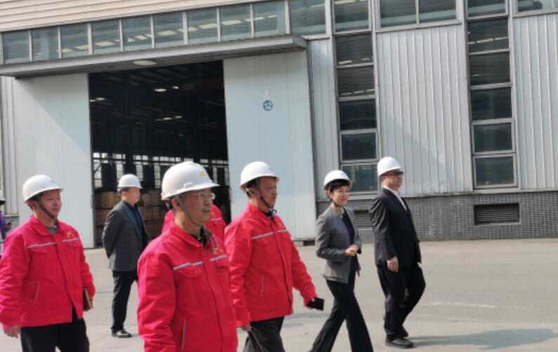 乐山市领导王彦一行来长仪股份公司开展安全督导工作 乐山市领导王彦一行来长仪股份公司开展安全督导工作