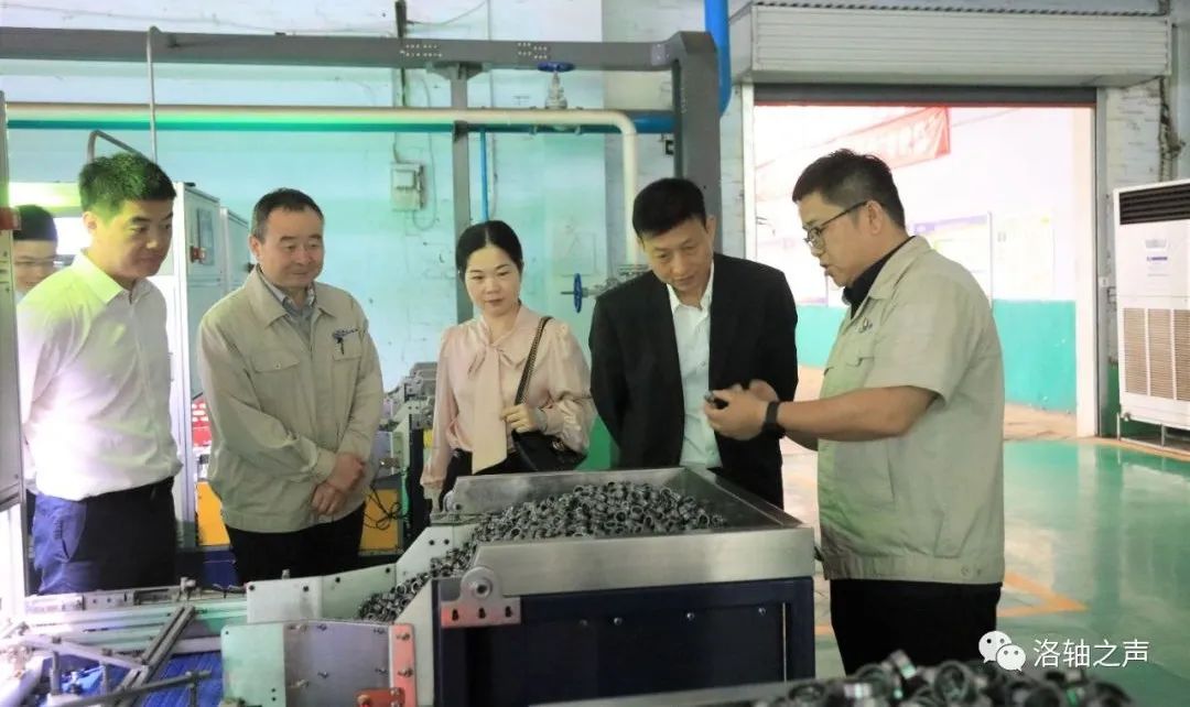 福建漳州开发区客人到洛轴走访 福建漳州开发区客人到洛轴走访