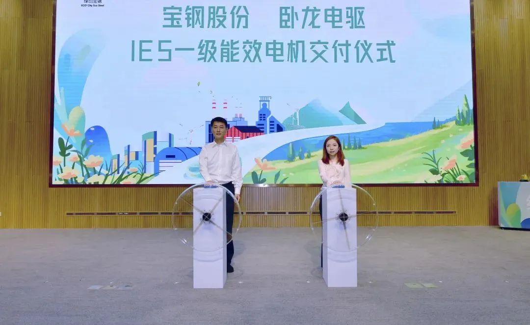 陳嫣妮（右）代表臥龍電驅(qū)與寶鋼股份共同啟動IE5一級能效電機的交付儀式
