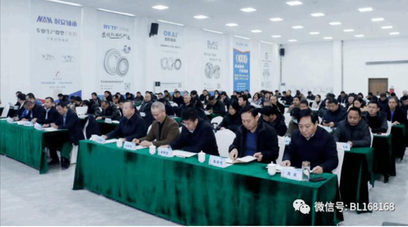 山东省轴承产业集群融链固链对接交流活动在聊城举办 山东省轴承产业集群融链固链对接交流活动在聊城举办