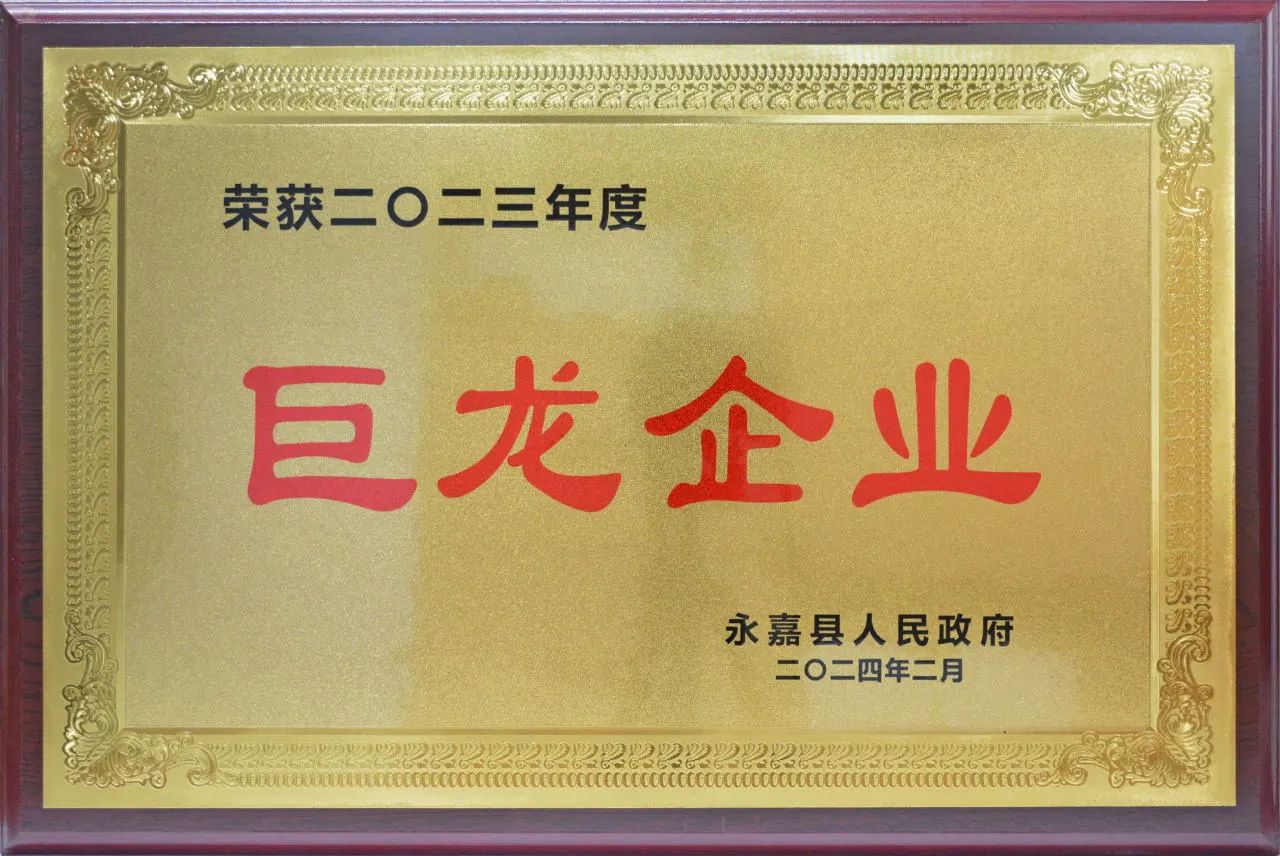 浙江永球科技再喜获巨龙企业、县长质量奖多项荣誉