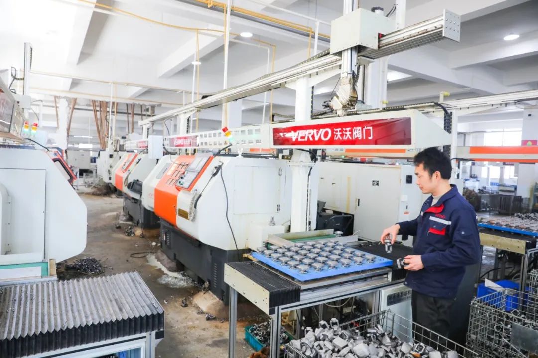 《莲都经济开发区-白桥区块》 陈建军摄 《莲都经济开发区-白桥区块》 陈建军摄