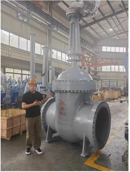 行走阀门江湖数十载!挺宇流体智能化新工厂预计2026年10月使用 行走阀门江湖数十载!挺宇流体智能化新工厂预计2026年10月使用