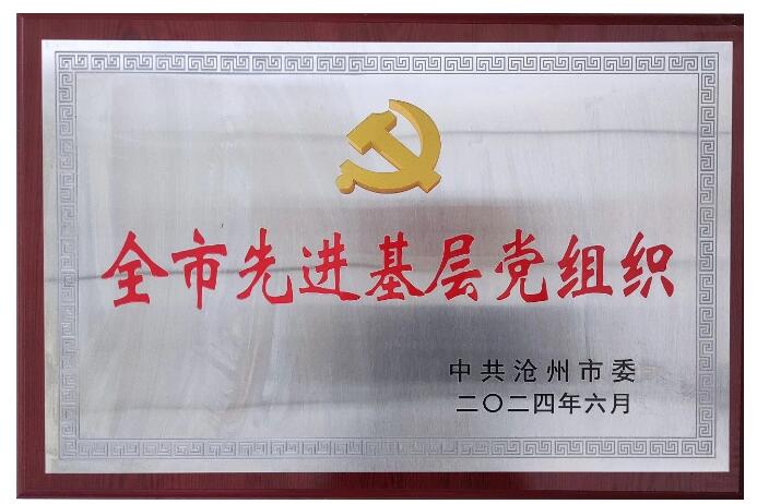 恒盛泵业荣获沧州市“先进基层党组织”称号 恒盛泵业荣获沧州市“先进基层党组织”称号